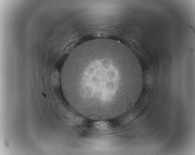 X0000101190511200807071318