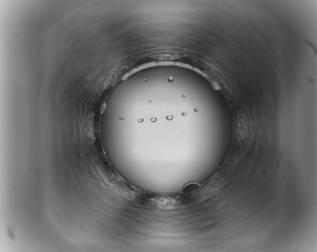 X0000101190512200807071318