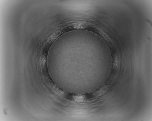 X0000101190513200807071318