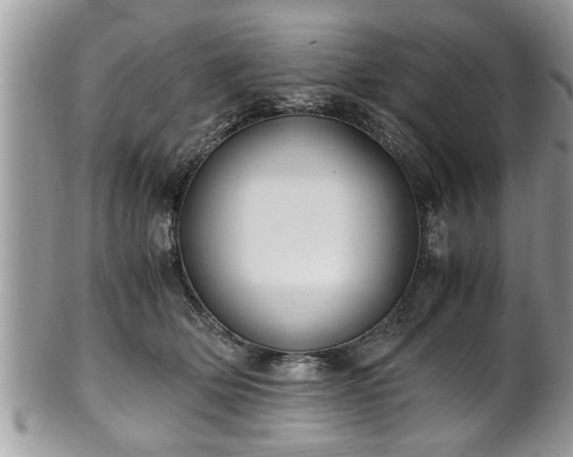 X0000101190514200807071318