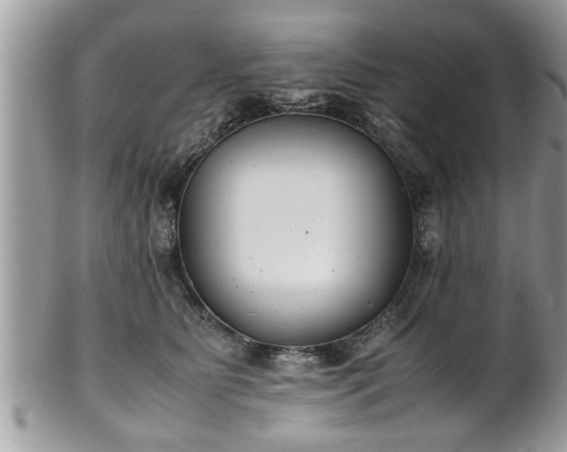 X0000101190515200807071318
