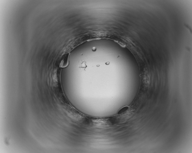 X0000101190516200807071318