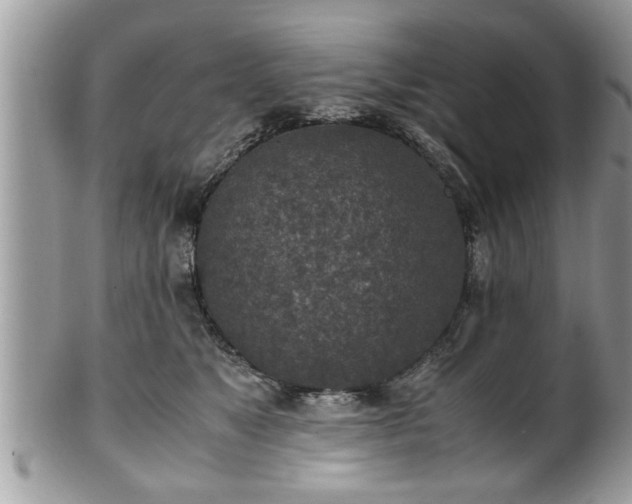 X0000101190517200807071318