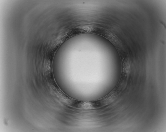 X0000101190518200807071318