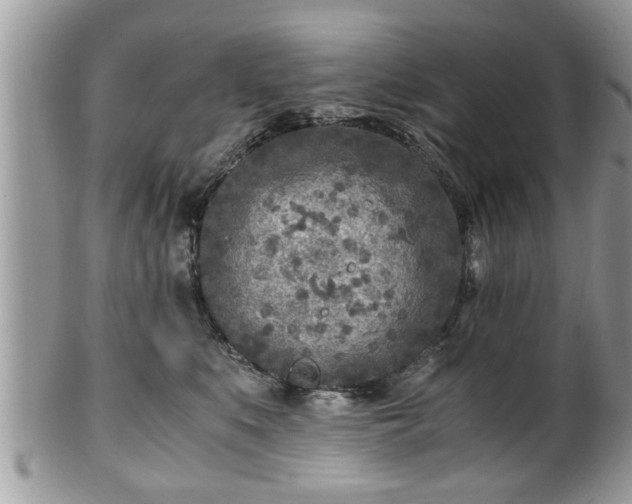 X0000101190519200807071318