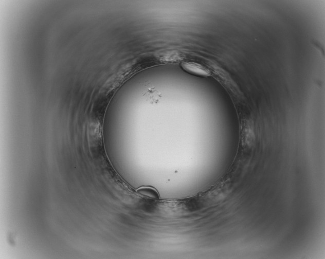 X0000101190521200807071318
