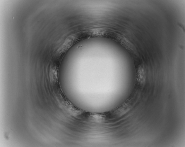 X0000101190522200807071318