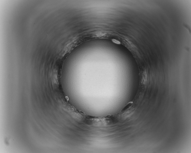 X0000101190524200807071318