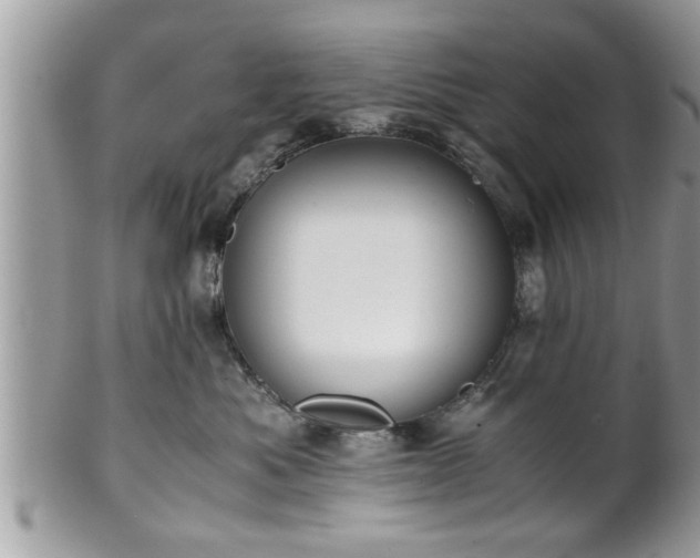 X0000101190525200807071318