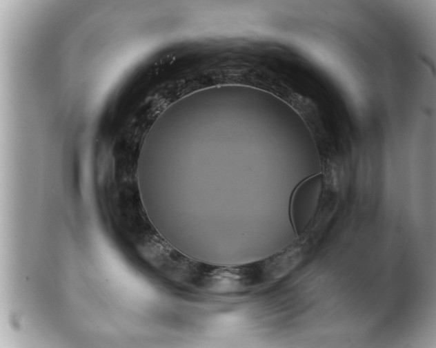 X0000101190526200807071318