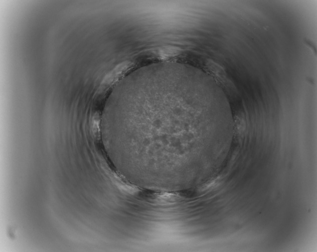 X0000101190527200807071318