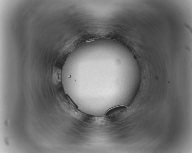 X0000101190528200807071318