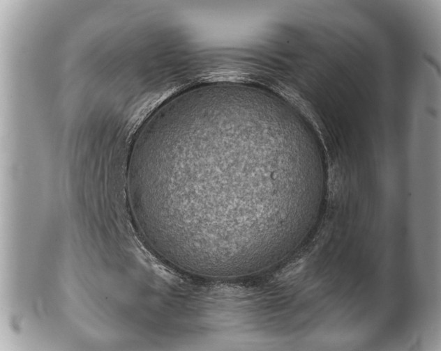 X0000101190529200807071317