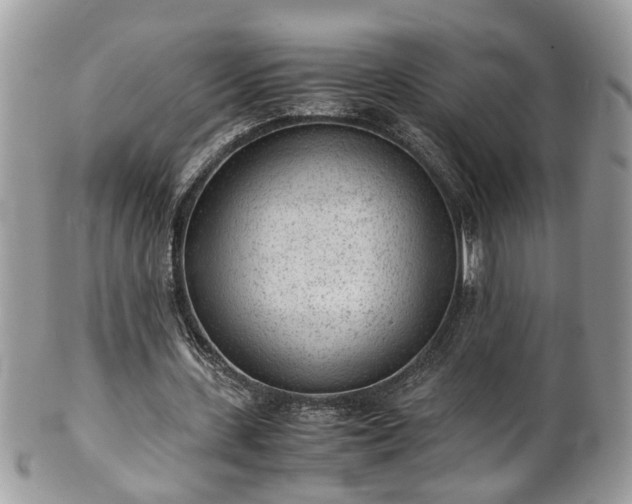 X0000101190531200807071317