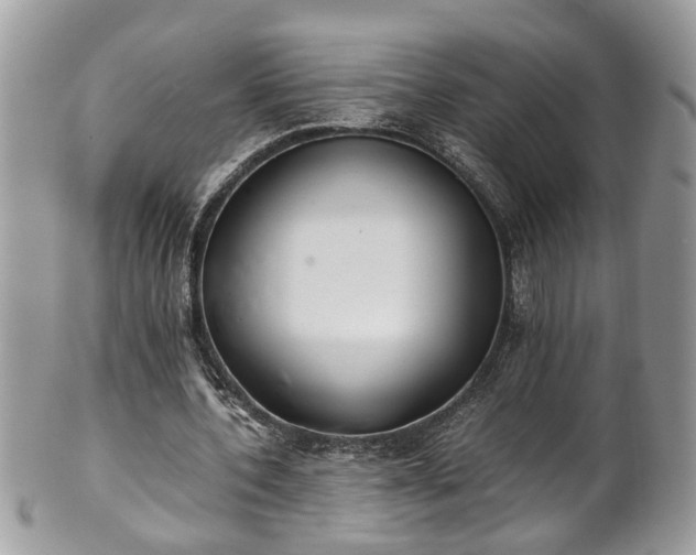 X0000101190532200807071317