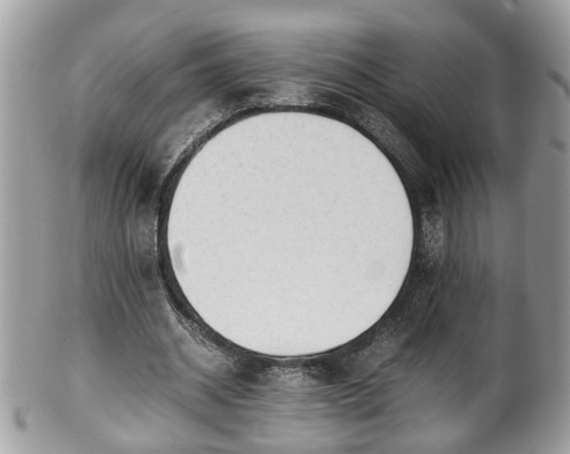 X0000101190534200807071317