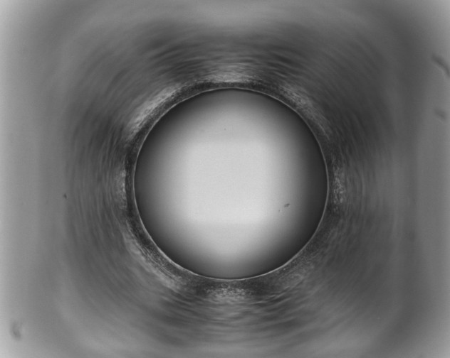 X0000101190535200807071317