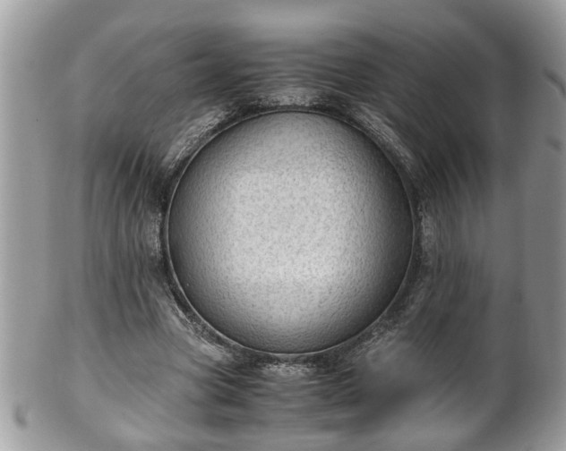 X0000101190537200807071317