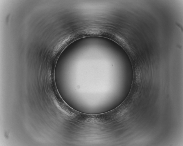X0000101190538200807071317