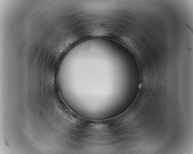 X0000101190539200807071317
