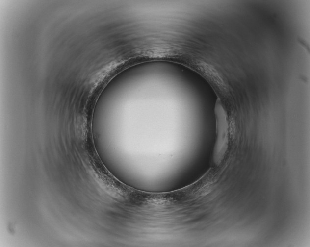 X0000101190540200807071317