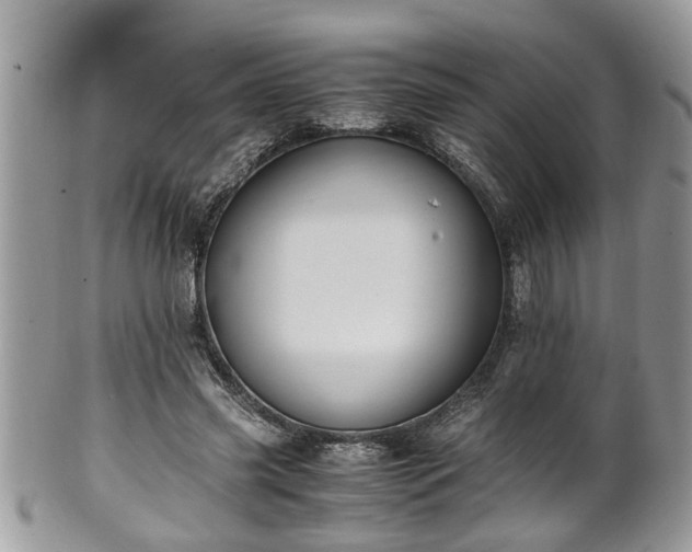 X0000101190541200807071317
