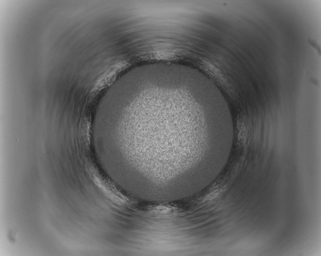 X0000101190542200807071317