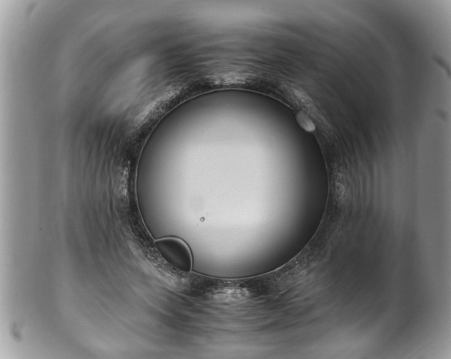 X0000101190543200807071317