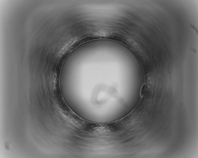 X0000101190544200807071317