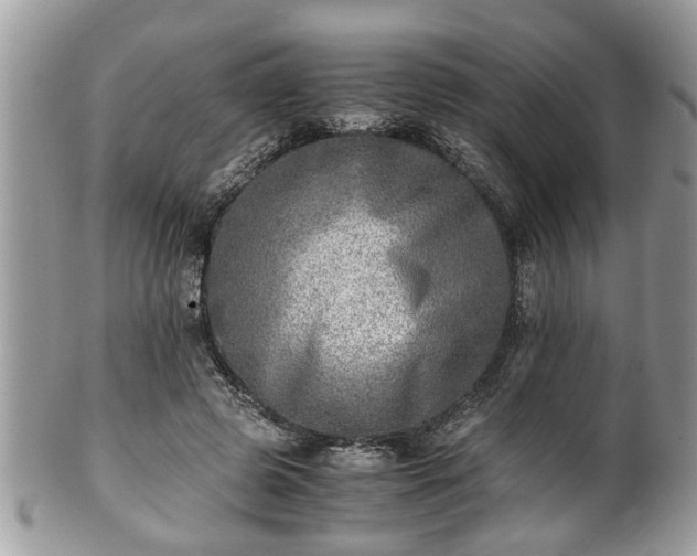 X0000101190545200807071317