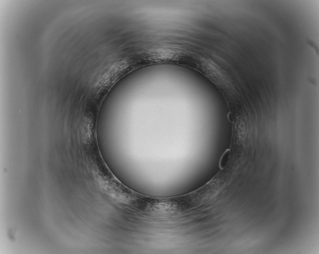 X0000101190546200807071317
