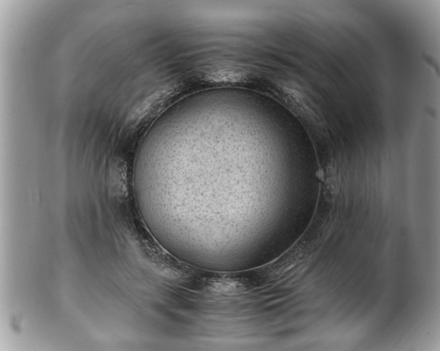 X0000101190547200807071317