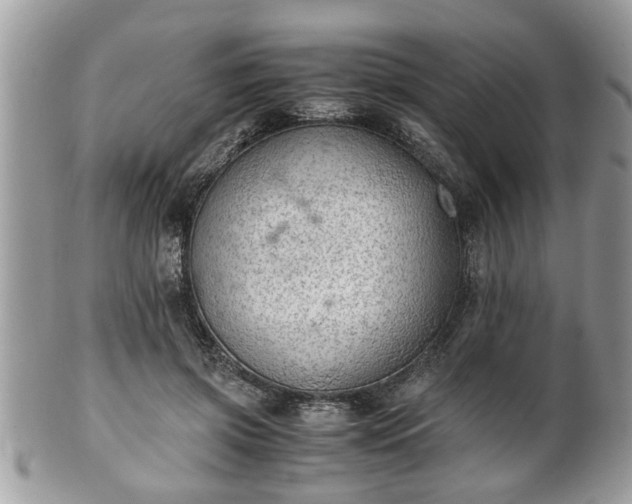X0000101190549200807071317