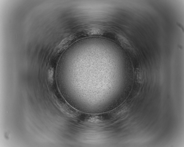 X0000101190550200807071317