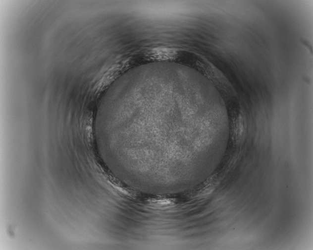 X0000101190553200807071317