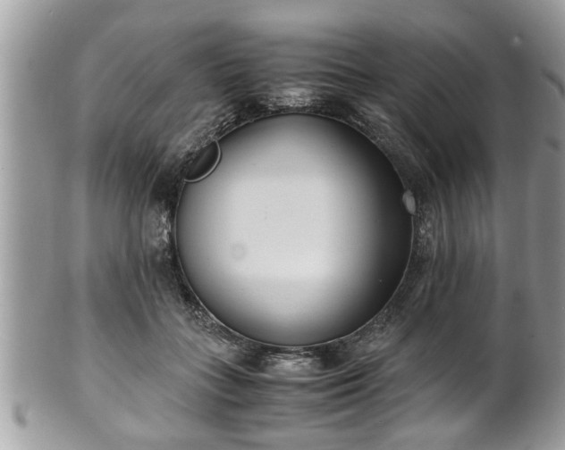 X0000101190555200807071317