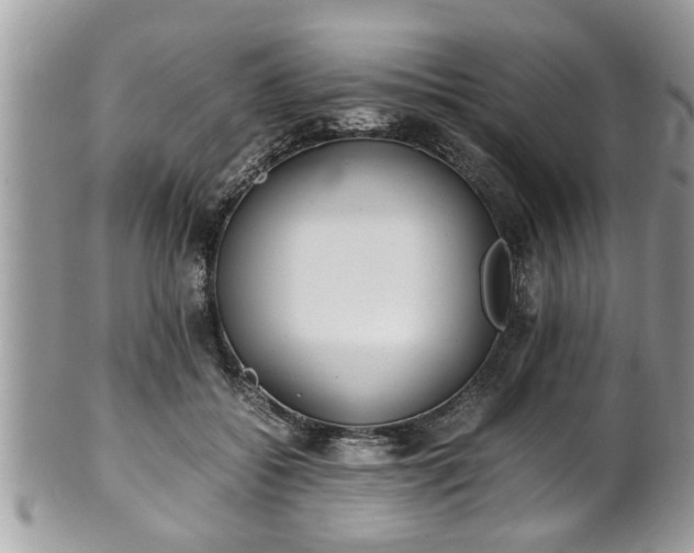 X0000101190556200807071317