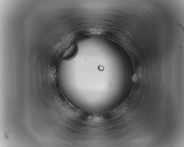 X0000101190559200807071317