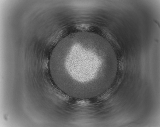 X0000101190561200807071317
