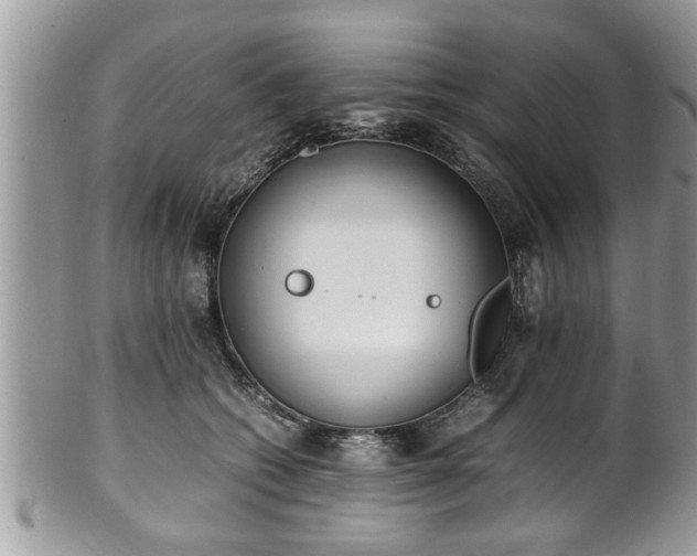 X0000101190562200807071317