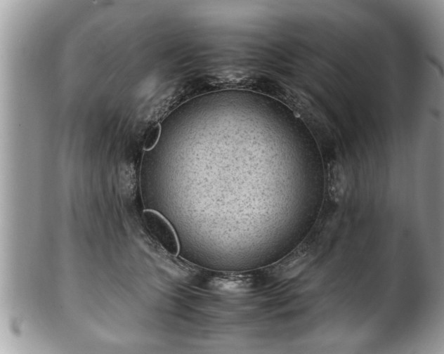 X0000101190563200807071317