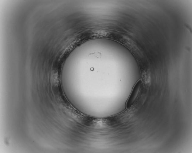 X0000101190564200807071317