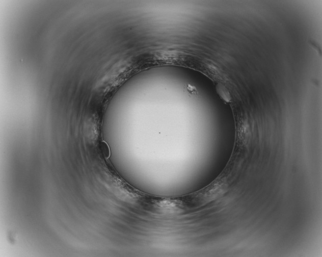 X0000101190566200807071317
