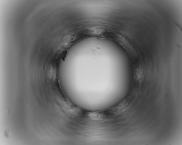 X0000101190568200807071317