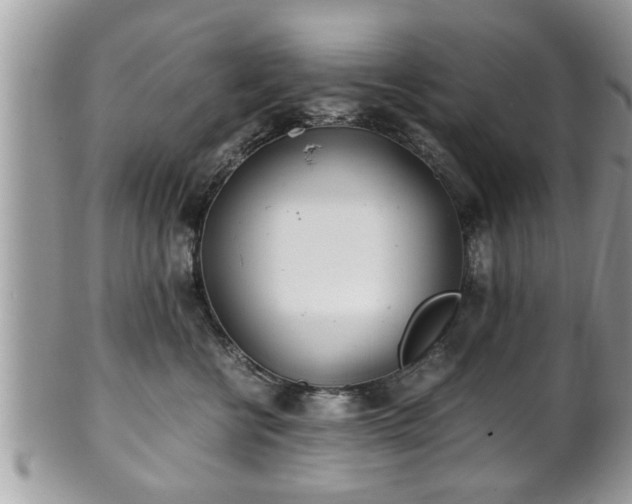X0000101190570200807071317