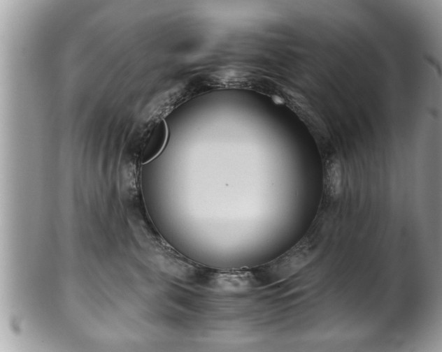 X0000101190571200807071317