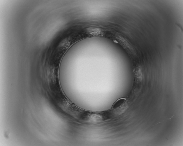 X0000101190572200807071318