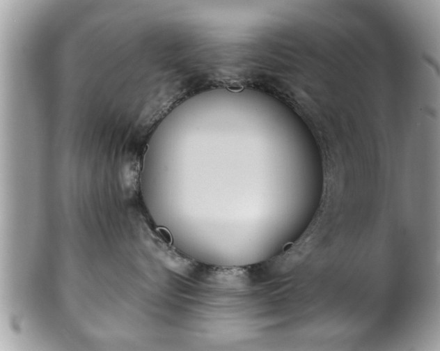 X0000101190576200807071318