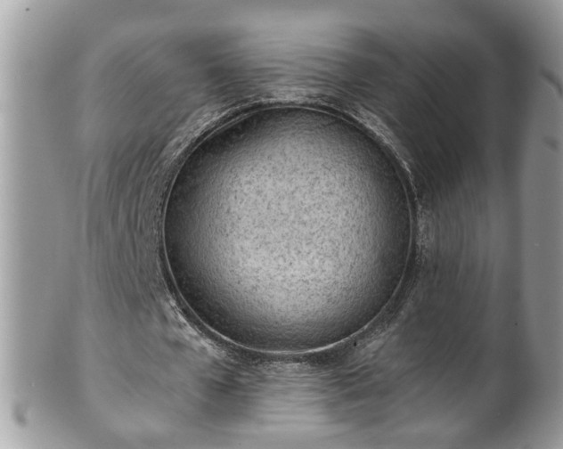 X0000101190577200807071317