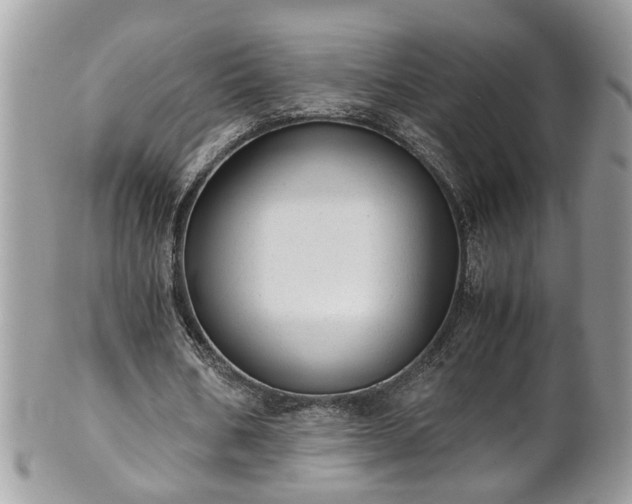X0000101190578200807071317
